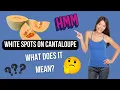 White Spots on Cantaloupe What It Means and What Should Be Done About It