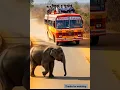 Download Lagu Lord ganesh appears in form of elephant to save people inside bus #Ganesh #Lord #miracle
