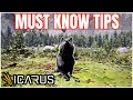 Top Icarus Tips Every Player Needs To Know