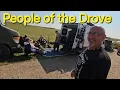 Download Lagu Meeting Great People on the DROVE / STONEHENGE / Belgian Malinois