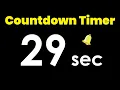 29 second Countdown Timer with Alarm