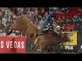 Chad Berger s RANKEST BULLS 2019