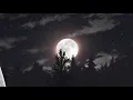 Trivecta - Ghost In The Machine