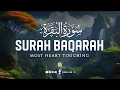 Surah Al Baqarah Full (سورة البقره) | Relaxing heart touching voice | Zikrullah TV
