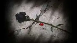 يا وردتي اغنيه تركيه مترجمه دندنها