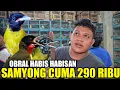 Download Lagu GA MASUK AKAL ! CUMA KIOS SENDY YG NEKAD JUAL SAMYONG SEMURAH INI DIKIOS PASAR BURUNG PRAMUKA