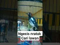 Download Lagu Anis kembang ngecis