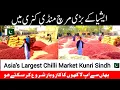 Download Lagu Asia's Largest Chilli Market in Kunri Sindh Pakistan | Red Chilli City Of Kunri | Voice of Santsoh |