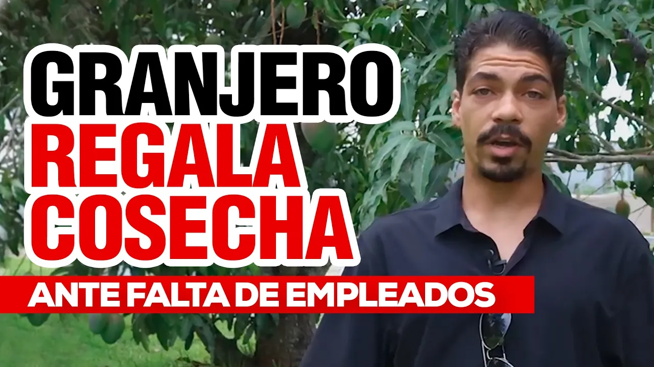 Crisis en Granjas: Ley Antiinmigrante Vacía Cosechas