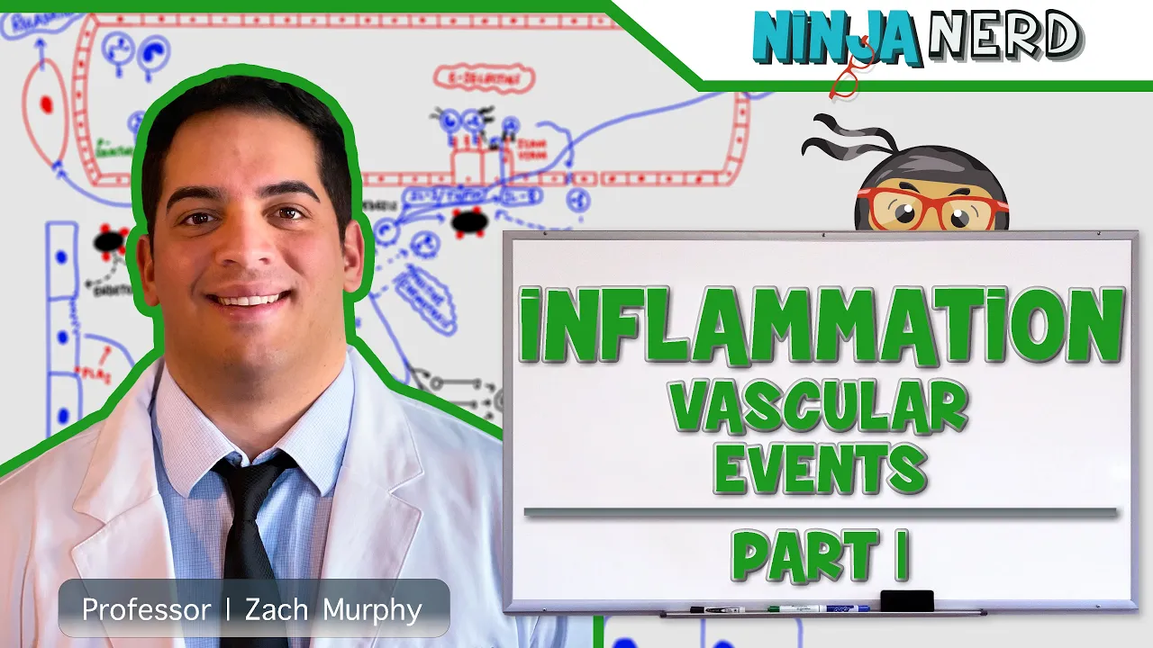 Outline Video Immunology | Inflammation: Vascular Events: Part 1