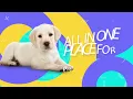 615 Pets Nashville s Best Pet Directory Find all Services Fast Pet Grooming Supplies and more