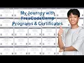 How I Completed 15 freeCodeCamp Certifications in 4 Months A Structured Learning Journey
