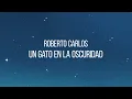 Un Gato en la Oscuridad (Lyric Video) - Roberto Carlos