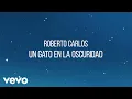 Roberto Carlos - Un Gato en la Oscuridad