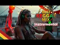 [REGGAE] Roots & Riddims - The Ultimate Reggae Instrumental Vibes 🌿🎶 🔥