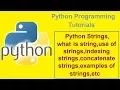 Python Programming Tutorials - 5