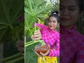 Download Lagu Eating papaya tree with chili salt #eating #food #shorts #shortvideo