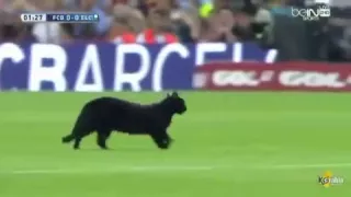 فهد العتيبي يمر  فهد العتيبي يمر