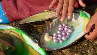 Wandering shallow streams, I dig wet mud to uncover radiant pearls inside giant river clams