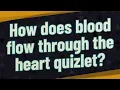 How does blood flow through the heart quizlet