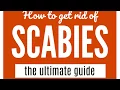 How To Get Rid Of Scabies A Guide That WORKS