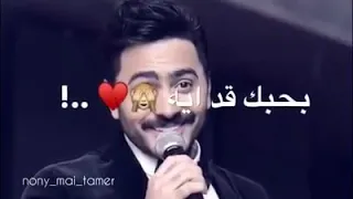 مش هقدر اوصف بحبك قد ايه   تامر حسني دندنها