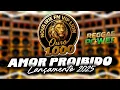 Download Lagu MELÔ DO AMOR PROIBIDO / LANÇAMENTO IRIE FM VIP LION OURO MIL 