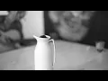 SóCIRO - PÁSSARO PARDO