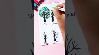 4 seasons trees