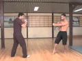 Download Lagu Wing Tsun KO Fighter Sihing Tanyel MWTA