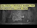 Download Lagu Ancient DNA Finally Reveals the REAL Origin of the Neanderthals