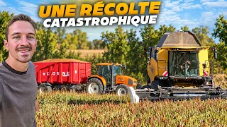 LA PIRE RÉCOLTE DE L'ANNÉE