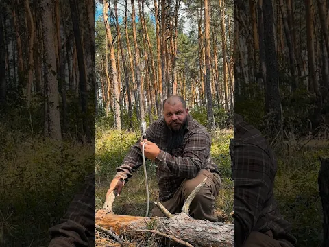 Необычные припасы зверей на зиму