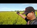 Download Lagu MINANG KABAU TANAH NAN DEN CINTO