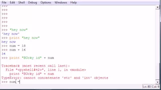 Python Programming Tutorial - 7