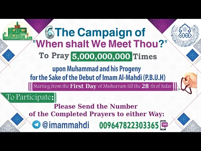 ⁣The Campaign of 
