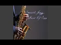 Download Lagu The Serenade