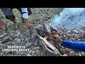 Download Lagu Mancing pas di pinggir tambak nya warga,Ikan nya rakus sekali sampai kewalahan saya narik nya