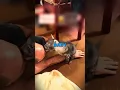 Why you NEVER Buy Pets off of Craigslist user7936031421