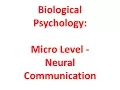 Biological Psychology Micro Level - Neural Communication