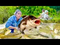 Download Lagu How to Block Water and Catch Giant Fish – Grilled Fish Family Cooking