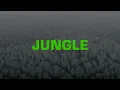The Blaze x Endel - JUNGLE (Sleep Soundscape)