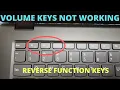Lagu Volume Button Not Working - Reverse Function Keys and Multimedia Keys (F1-F12)