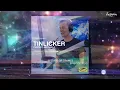 Tinlicker - Perfect Mistake