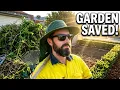 She thought her yard was a lost CAUSE - we proved her WRONG