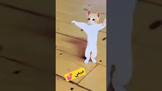 ميمي  الاكتر طلبا ميمي  العراق السعودية قطر الامارات الكويت البحرين  المغرب       ترند      دندنها
