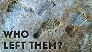 a dream find these footprints change history as we know it