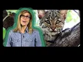 Native Animals that Call Ohio Home Know Ohio