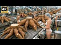 Lagu Inside the Factory: China's Giant Cassava Flour Process (Full Process)