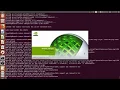 1 Introducing CUDA and Getting Started with CUDA